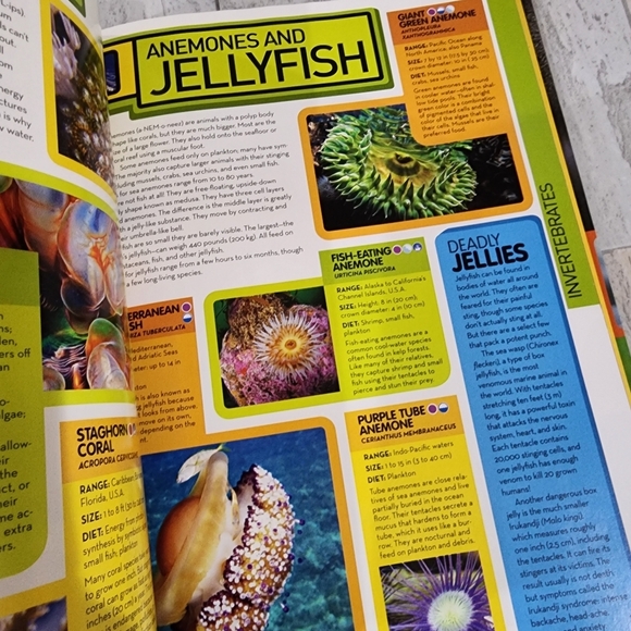 National Geographic Animal Encyclopedia - Picture 9 of 15